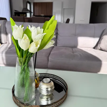 Pazaric * Doljani (Hadzici)